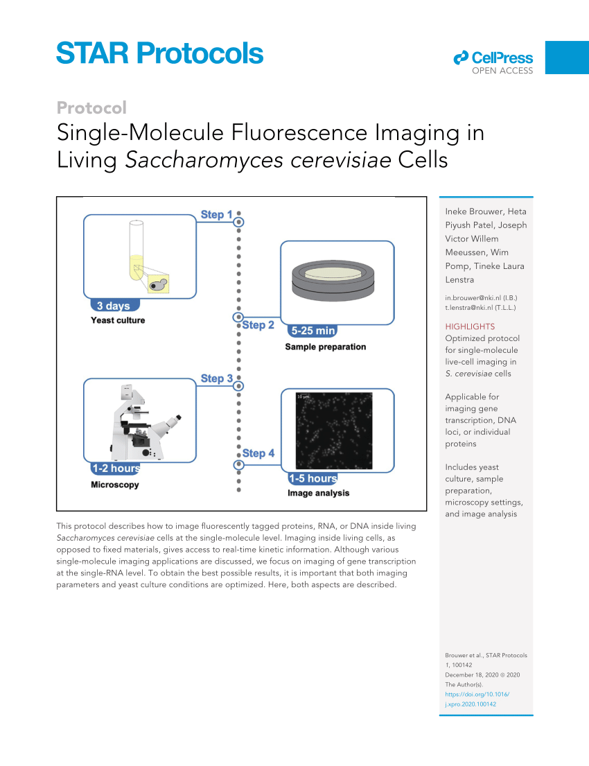 PDF) Single-Molecule Fluorescence Imaging in Living Saccharomyces