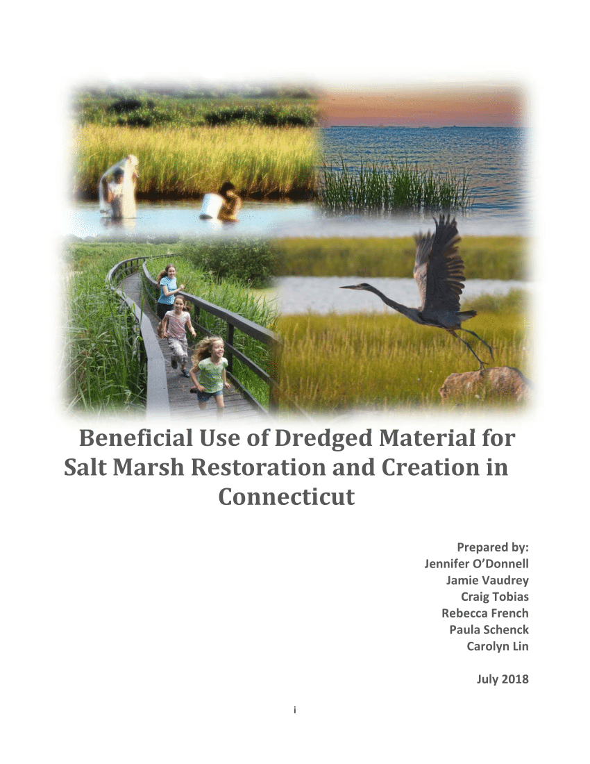 https://i1.rgstatic.net/publication/346302093_Beneficial_Use_of_Dredged_Material_for_Salt_Marsh_Restoration_and_Creation_in_Connecticut/links/6361c883431b1f530062084a/largepreview.png