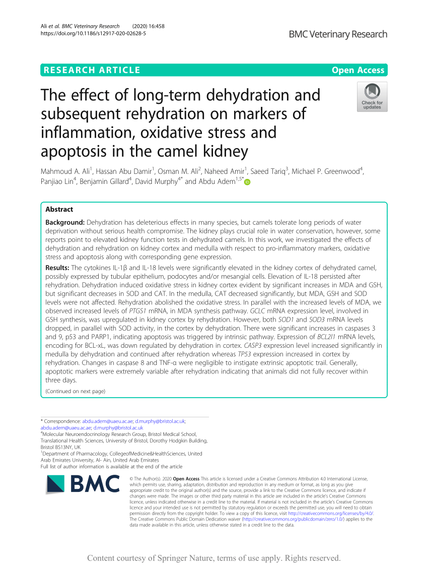 PDF) The effect dehydration and subsequent rehydration on markers of inflammation, oxidative stress and apoptosis in the camel kidney