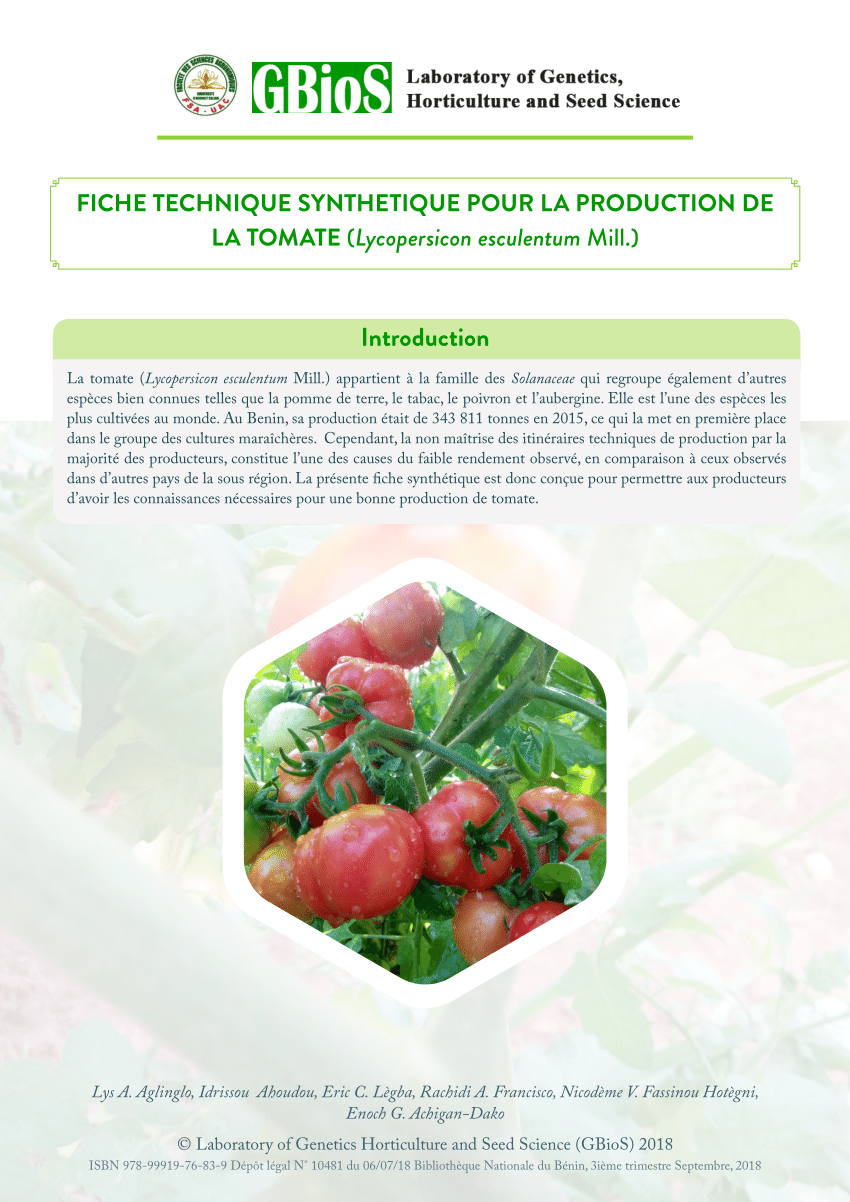 business plan production de tomate pdf