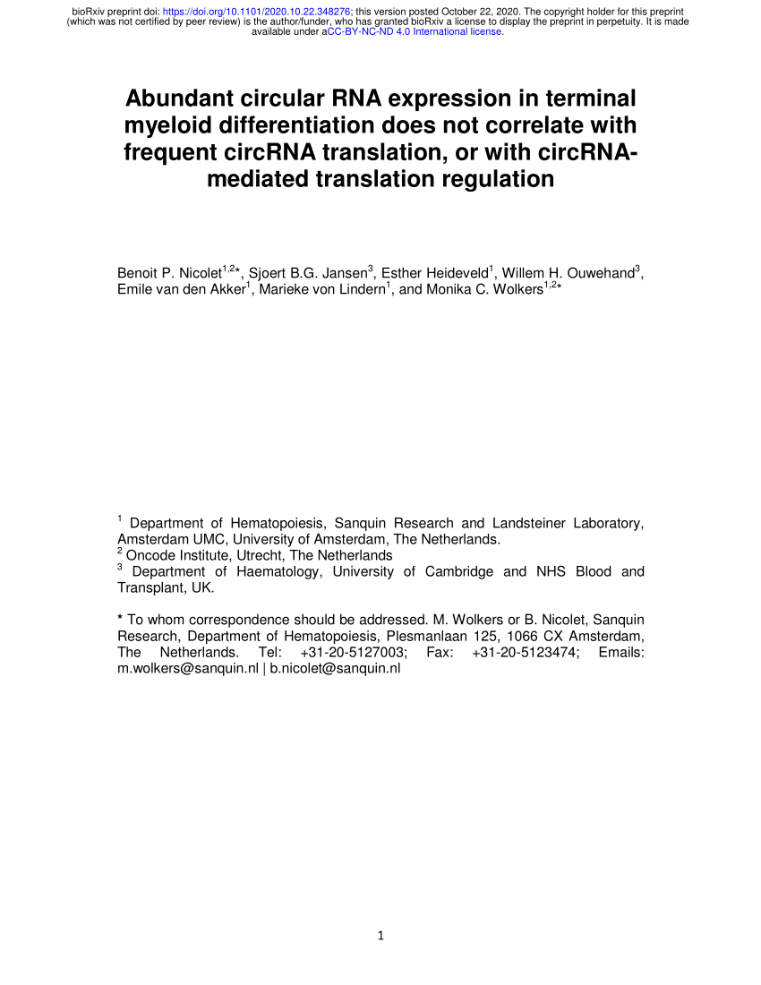 Pdf Abundant Circular Rna Expression In Terminal Myeloid Differentiation Does Not Correlate With Frequent Circrna Translation Or With Circrna Mediated Translation Regulation