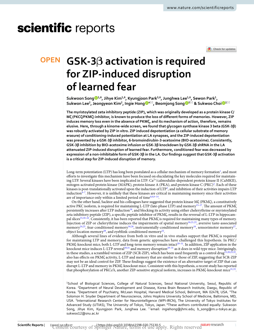 Pdf Gsk 3b Activation Is Required For Zip Induced Disruption Of Learned Fear