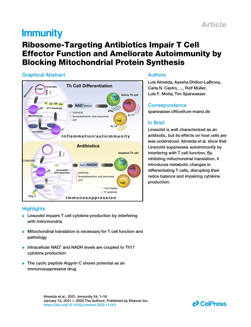 Pdf Ribosome Targeting Antibiotics Impair T Cell Effector Function And Ameliorate Autoimmunity By Blocking Mitochondrial Protein Synthesis