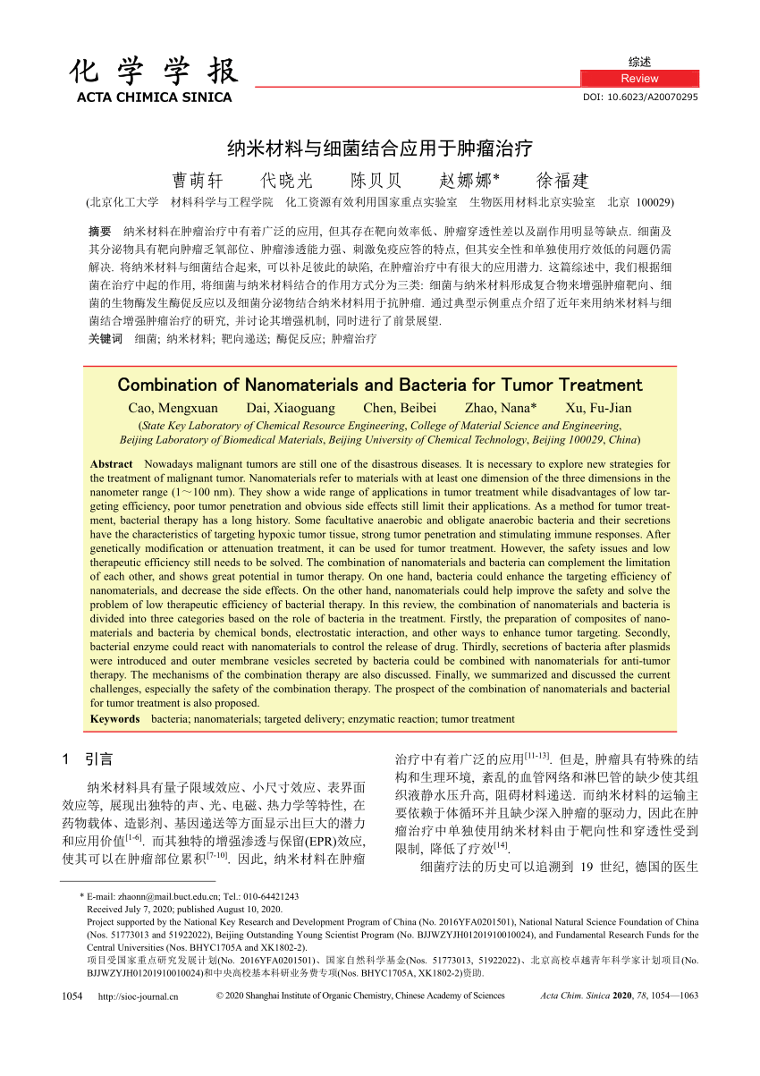 Pdf Combination Of Nanomaterials And Bacteria For Tumor Treatment