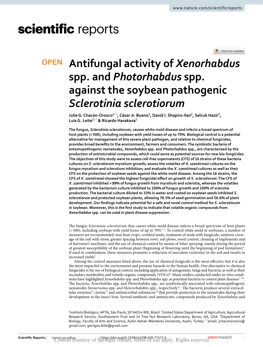 Pdf Antifungal Activity Of Xenorhabdus Spp And Photorhabdus Spp Against The Soybean Pathogenic Sclerotinia Sclerotiorum