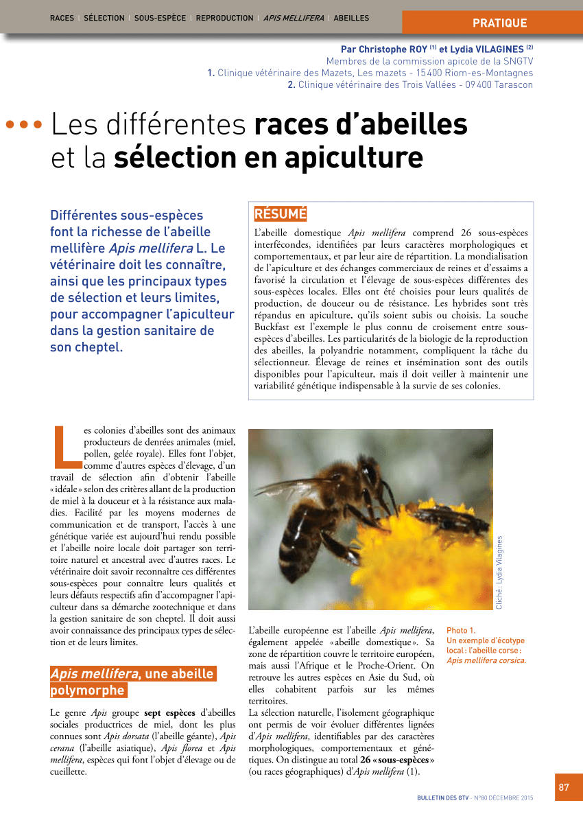 Pdf Les Differentes Races D Abeilles Et La Selection En Apiculture