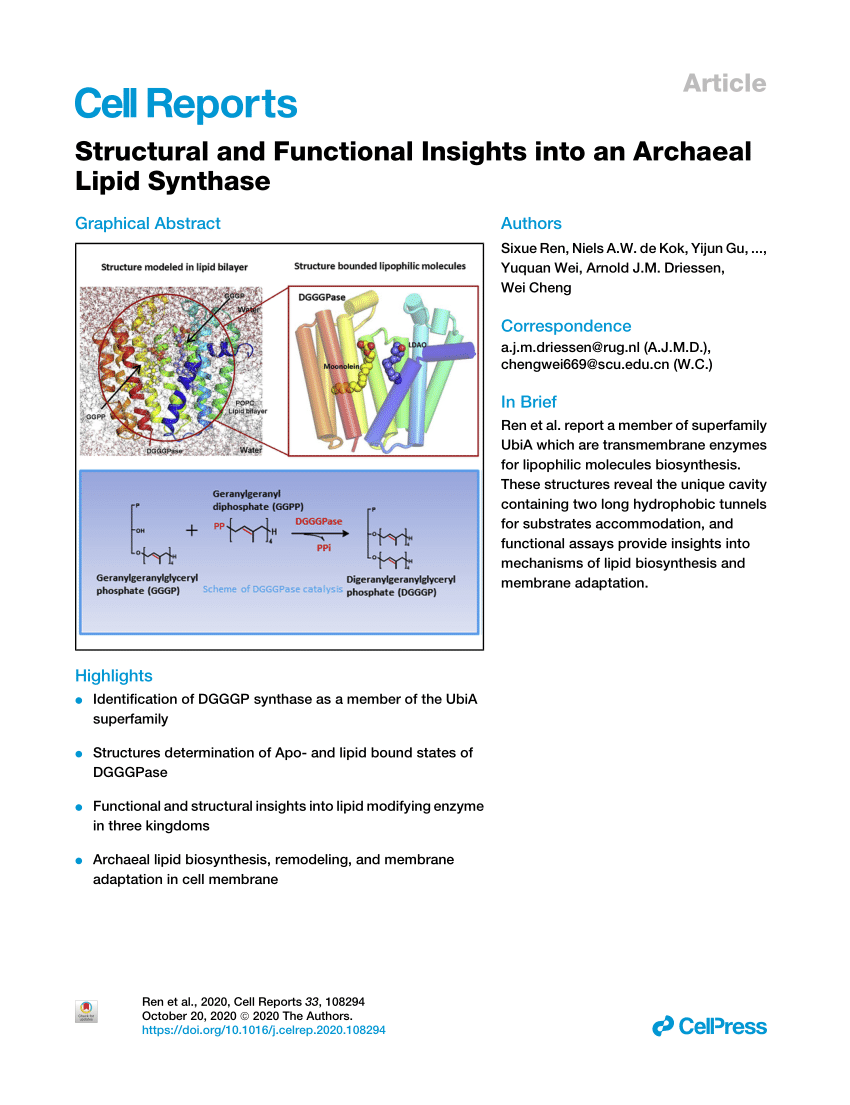 Pdf Structural And Functional Insights Into An Archaeal Lipid Synthase