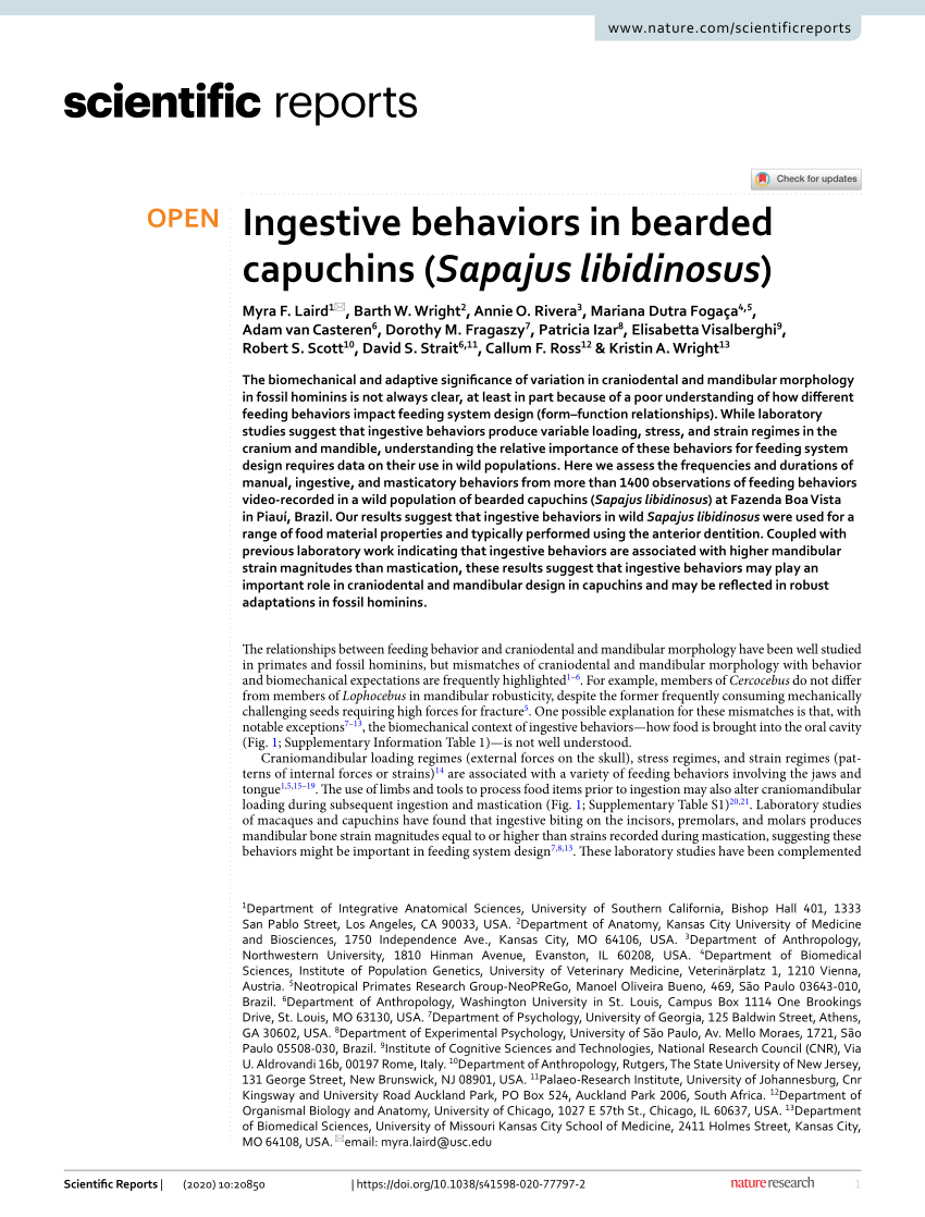 PDF) Ingestive behaviors in bearded capuchins (Sapajus libidinosus)