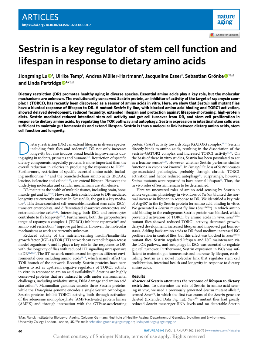 arbejder Bedstefar væg Sestrin is a key regulator of stem cell function and lifespan in response  to dietary amino acids | Request PDF