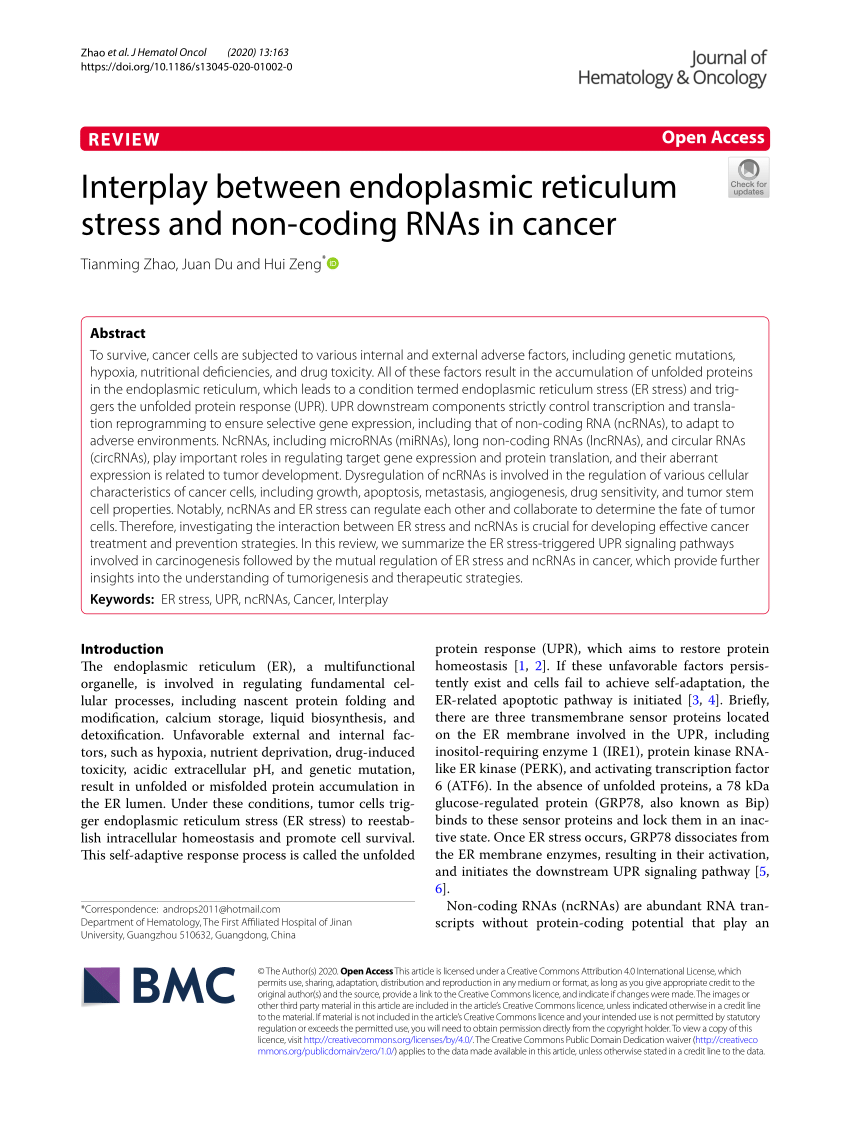 PDF) Interplay between endoplasmic reticulum stress and non-coding 