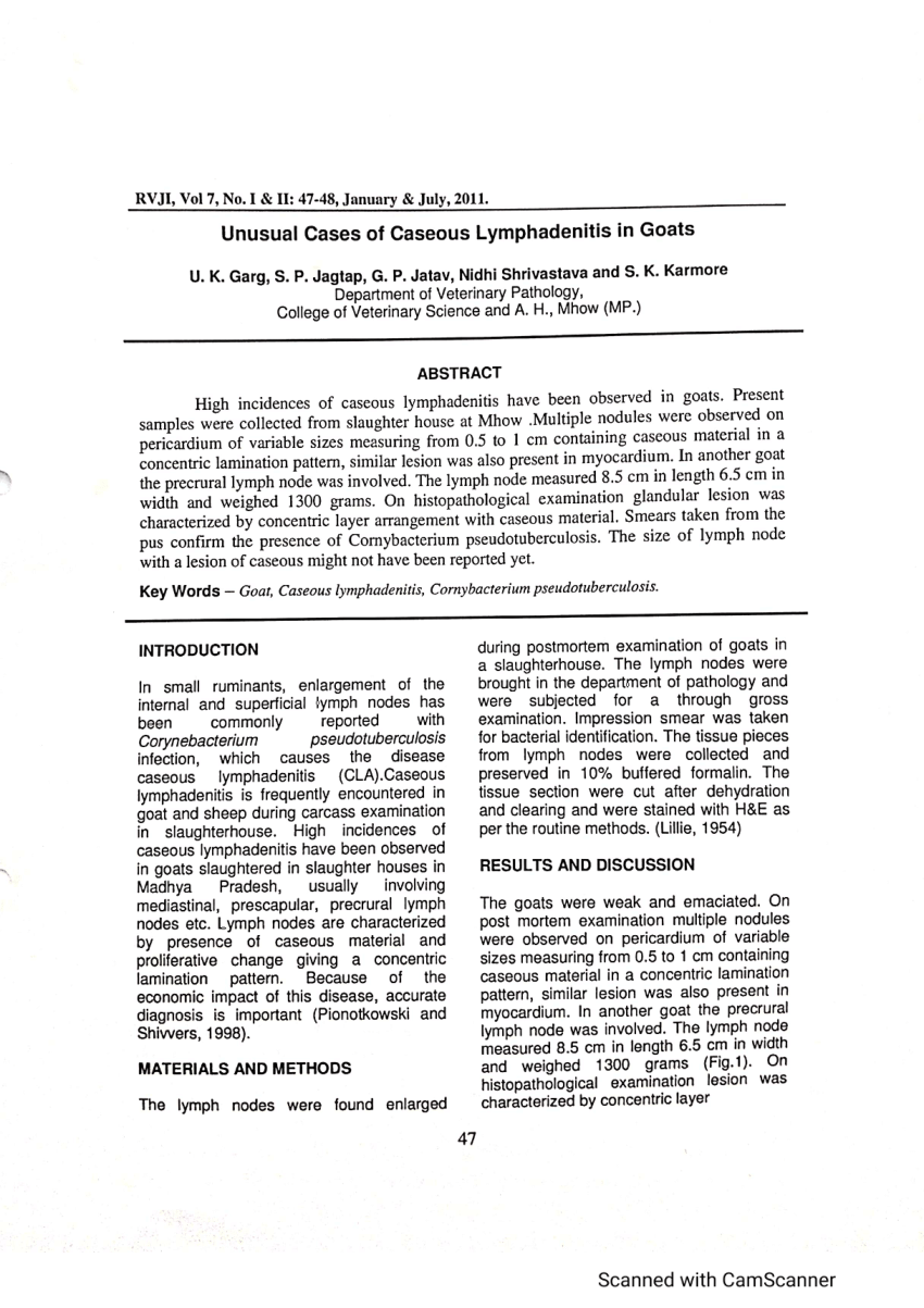 P_C4H340_24 Testengine