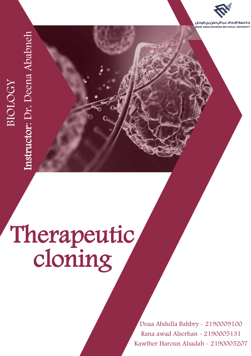 therapeutic cloning essay