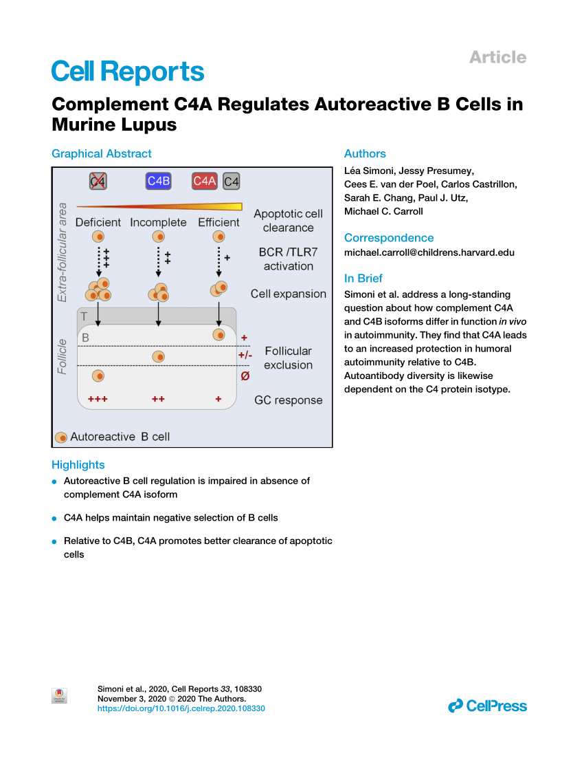 Pdf Complement C4a Regulates Autoreactive B Cells In Murine Lupus