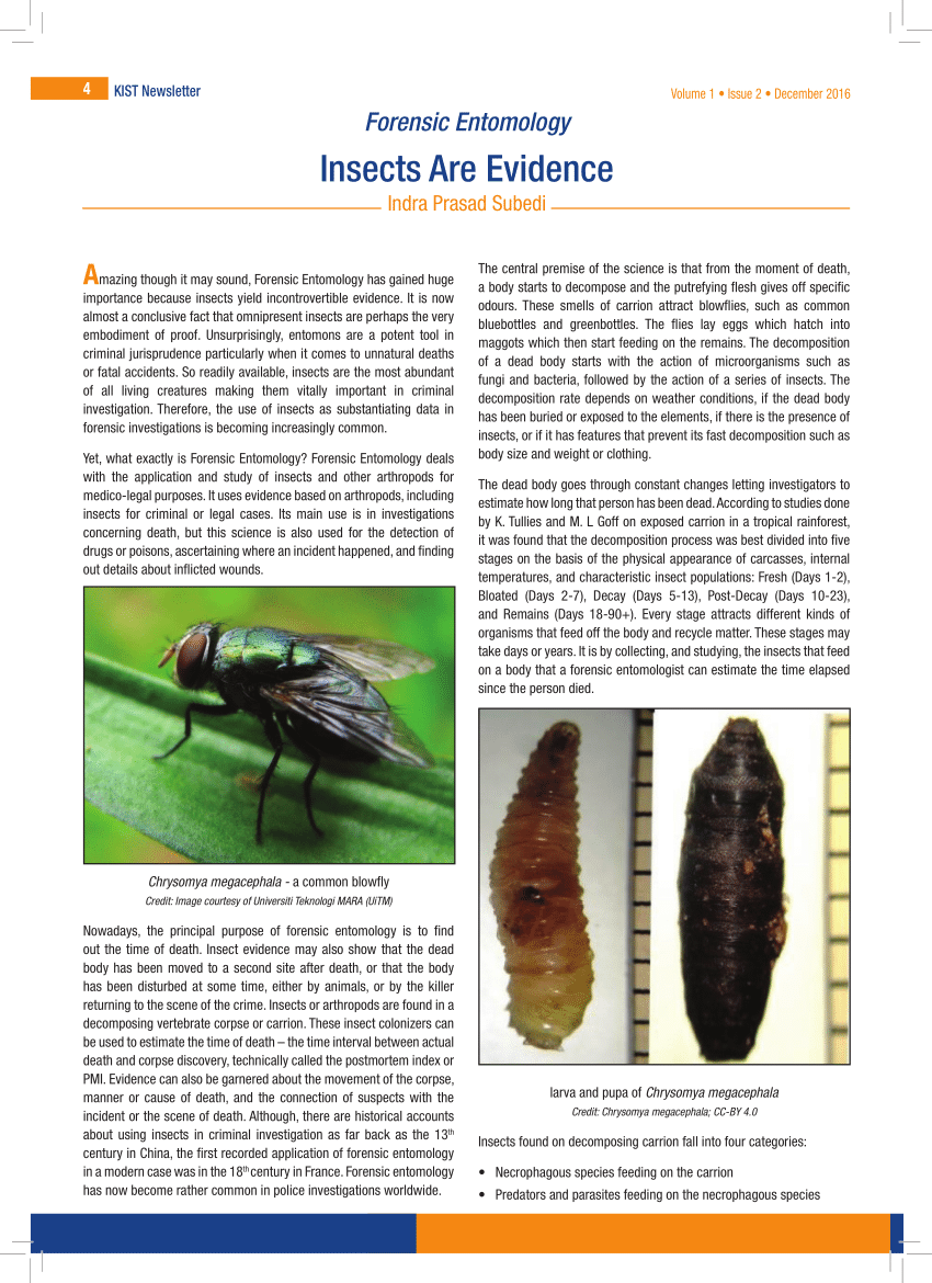 research topics on entomology