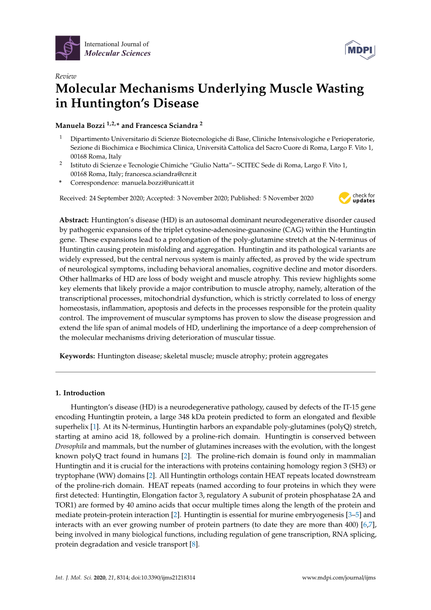 Pdf Molecular Mechanisms Underlying Muscle Wasting In Huntington S Disease