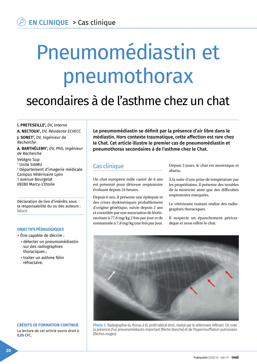 Pdf Cas Clinique Pneumomediastin Et Pneumothorax Secondaire A De L Asthme Chez Un Chat Pratiquevet Septembre