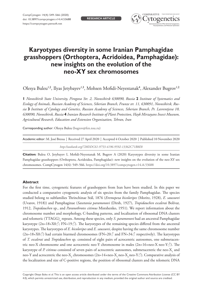 PDF) Karyotypes diversity in some Iranian Pamphagidae grasshoppers  (Orthoptera, Acridoidea, Pamphagidae): new insights on the evolution of the  neo-XY sex chromosomes