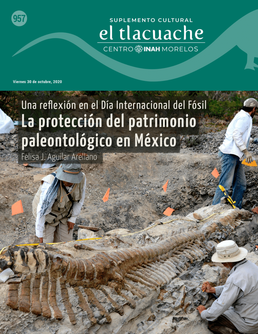 PDF) La protección del patrimonio paleontológico en México