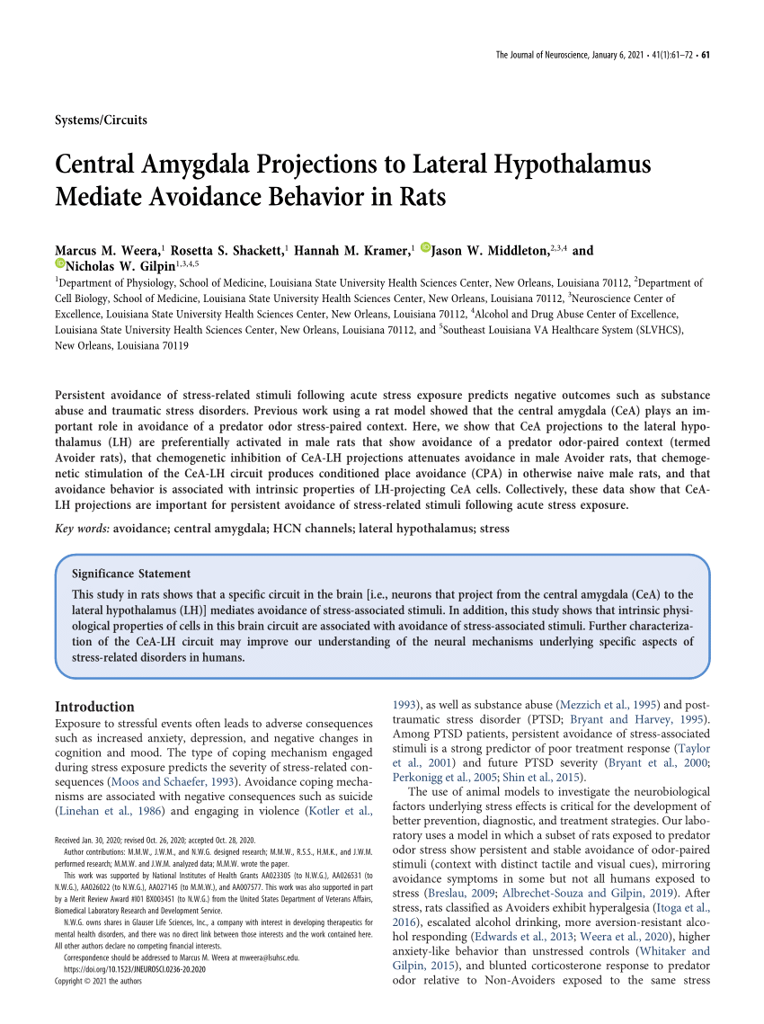 Pdf Central Amygdala Projections To Lateral Hypothalamus Mediate Avoidance Behavior In Rats