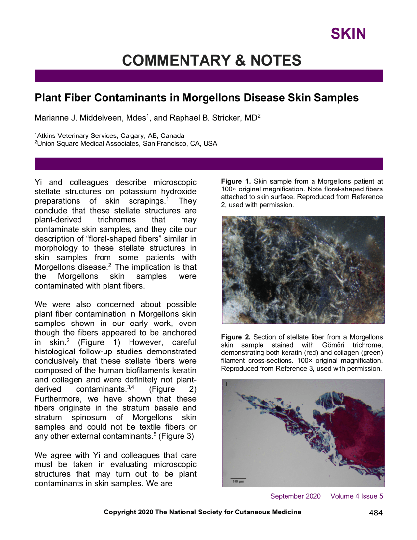 PDF] Plant stellate trichomes: strange contaminants appearing in KOH  preparations