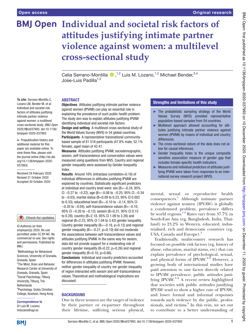 Pdf Individual And Societal Risk Factors Of Attitudes Justifying Intimate Partner Violence 