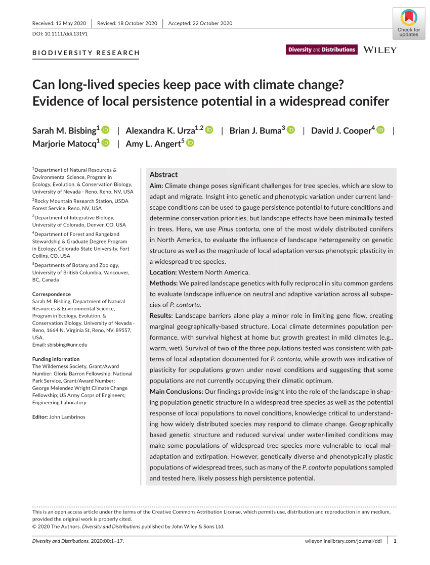Pdf Can Long Lived Species Keep Pace With Climate Change Evidence Of Local Persistence Potential In A Widespread Conifer