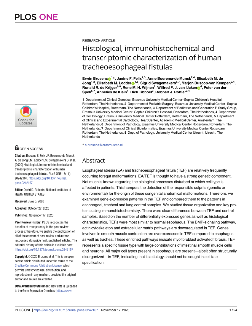 (PDF) Histological, immunohistochemical and transcriptomic characterization  of human tracheoesophageal fistulas