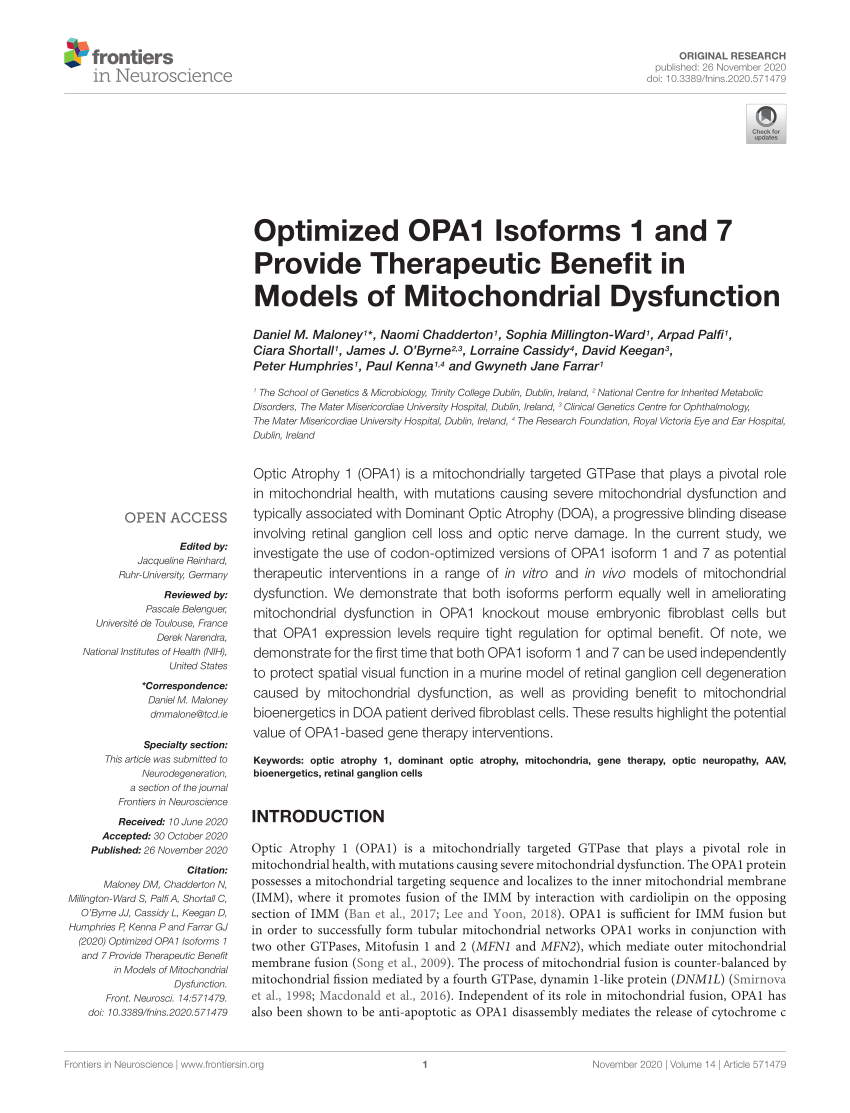 CRISPR-Cas9 correction of OPA1 c.1334G>A: p.R445H restores mitochondrial  homeostasis in dominant optic atrophy patient-derived iPSCs: Molecular  Therapy - Nucleic Acids