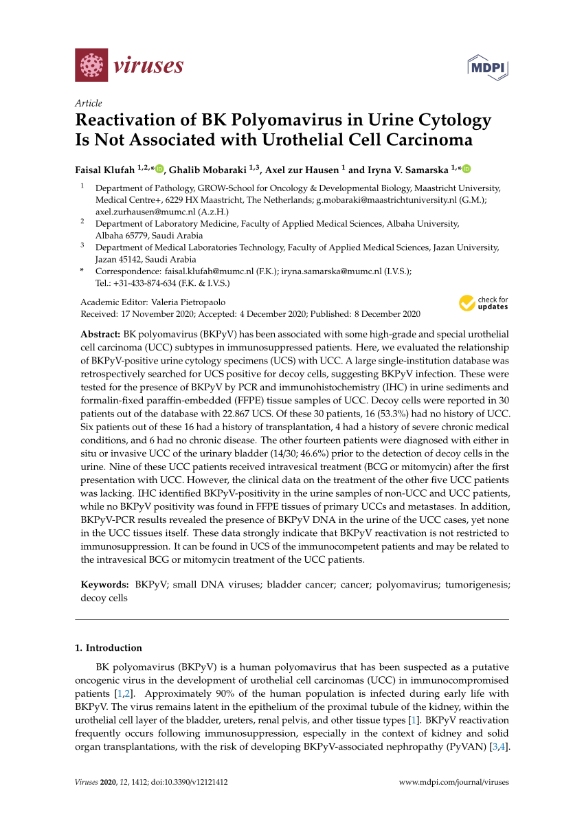 Pdf Reactivation Of Bk Polyomavirus In Urine Cytology Is Not Associated With Urothelial Cell 5132