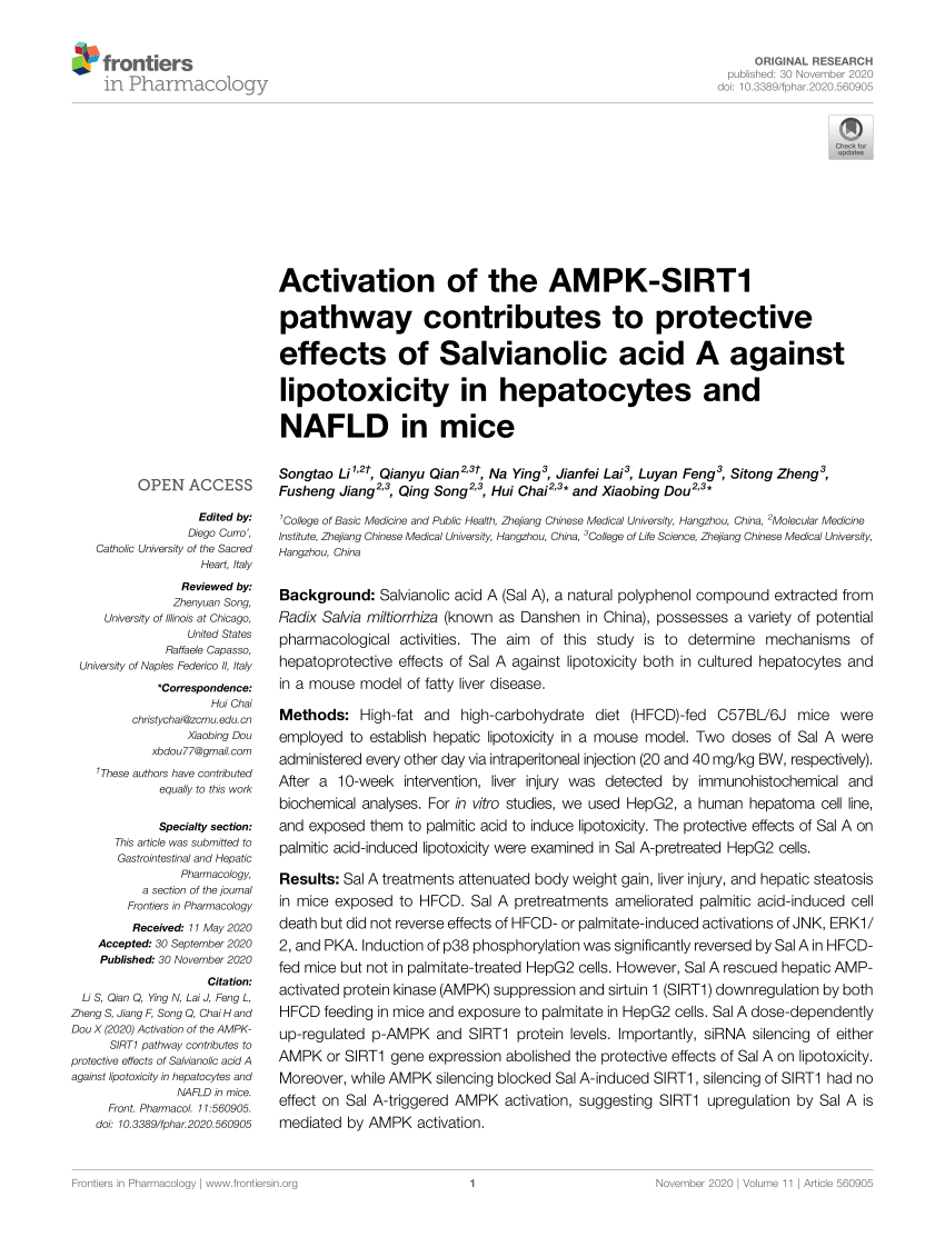 PDF) Activation of the AMPK-SIRT1 pathway contributes to 