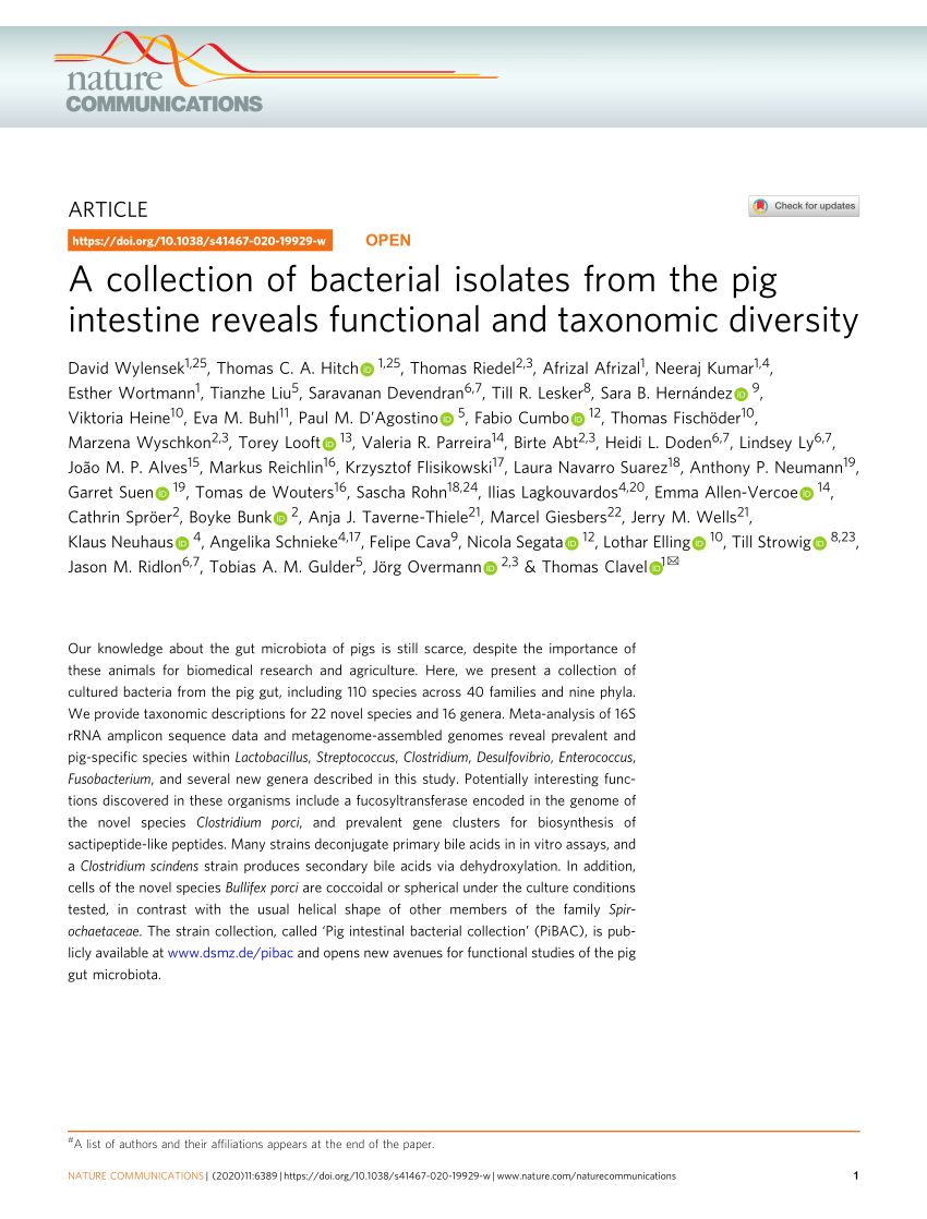 Pdf A Collection Of Bacterial Isolates From The Pig Intestine Reveals Functional And Taxonomic Diversity