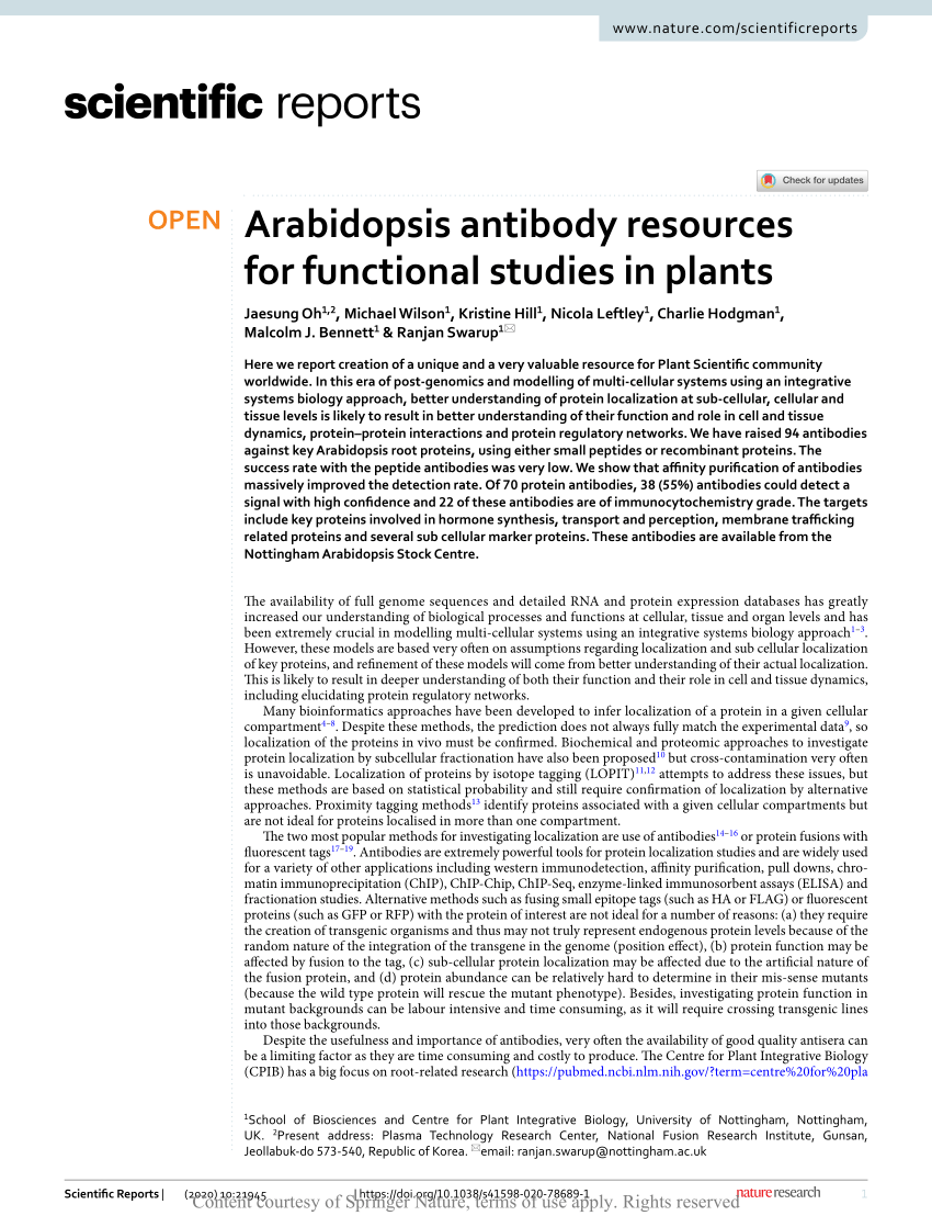 Pdf Arabidopsis Antibody Resources For Functional Studies In Plants