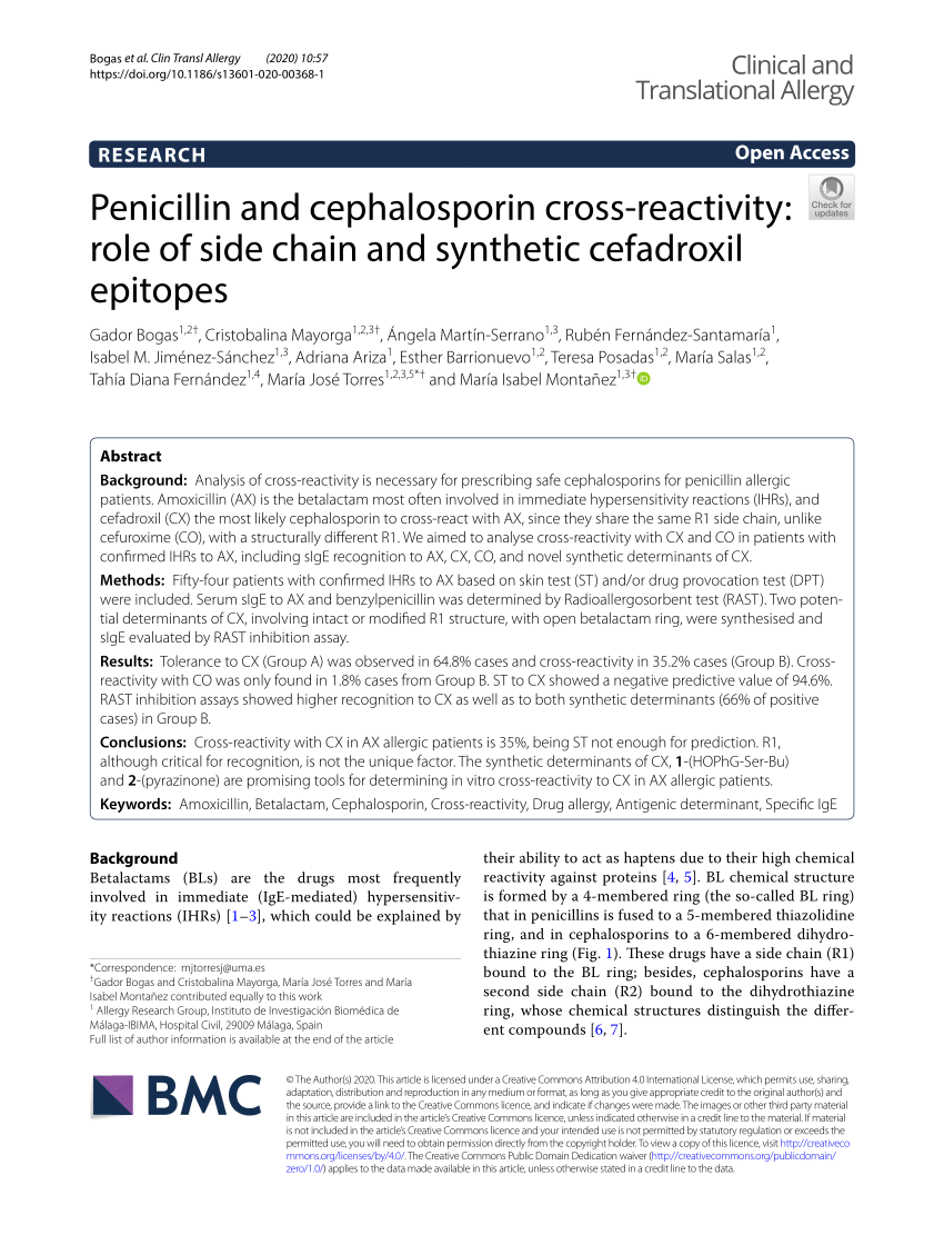 cross reactivity between penicillin and cephalosporins