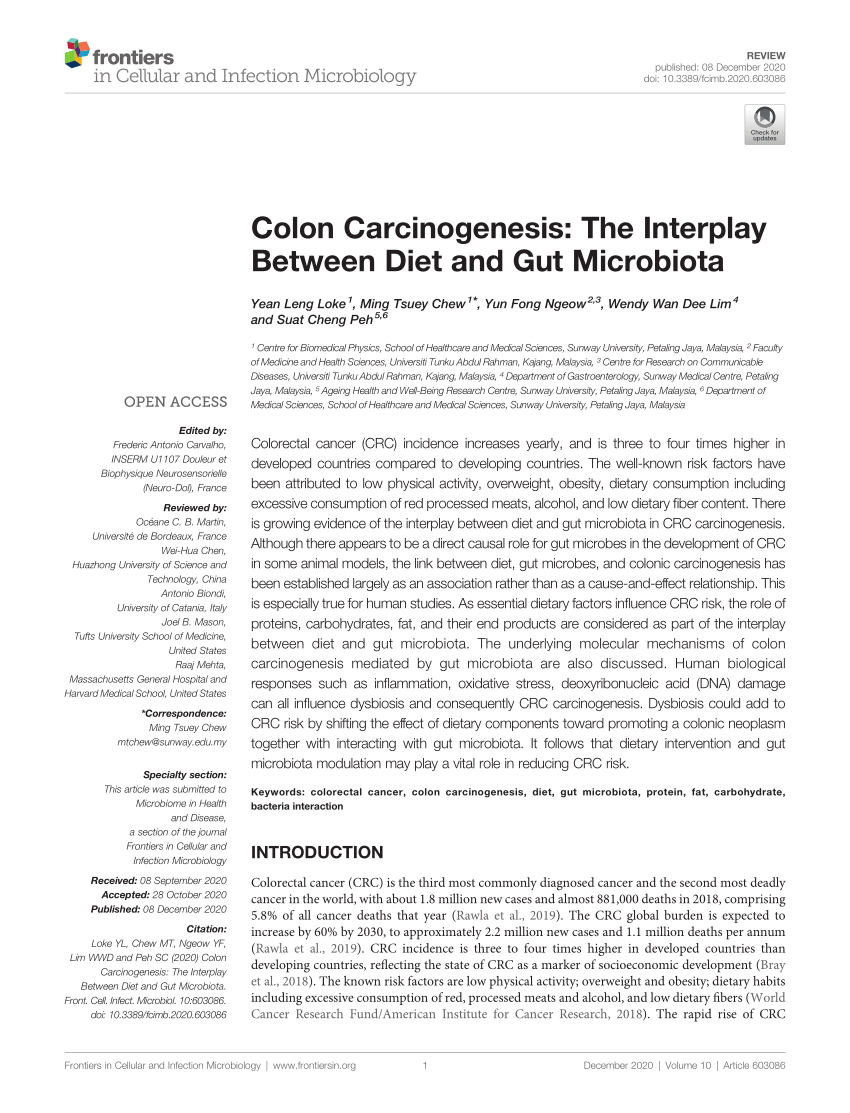 Pdf Colon Carcinogenesis The Interplay Between Diet And Gut Microbiota