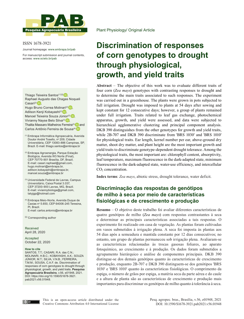 Pdf Discrimination Of Responses Of Corn Genotypes To Drought Through Physiological Growth And Yield Traits