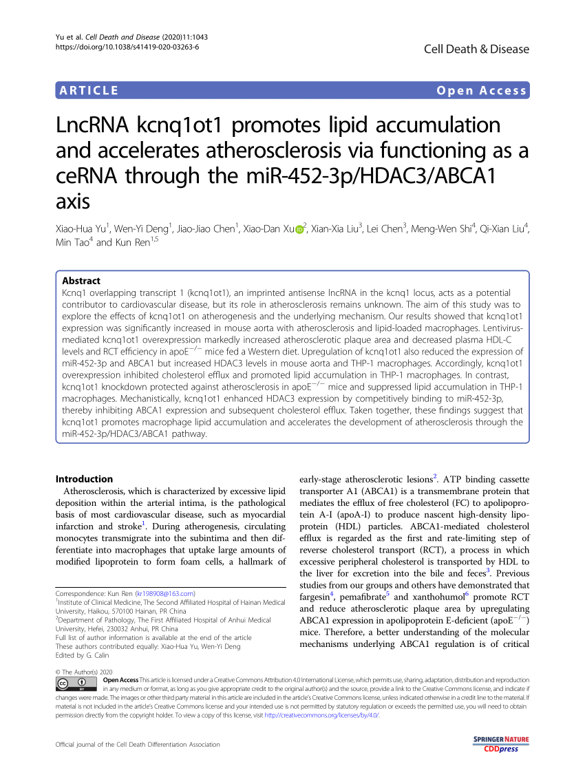 Pdf Lncrna Kcnq1ot1 Promotes Lipid Accumulation And Accelerates Atherosclerosis Via Functioning As A Cerna Through The Mir 452 3p Hdac3 Abca1 Axis