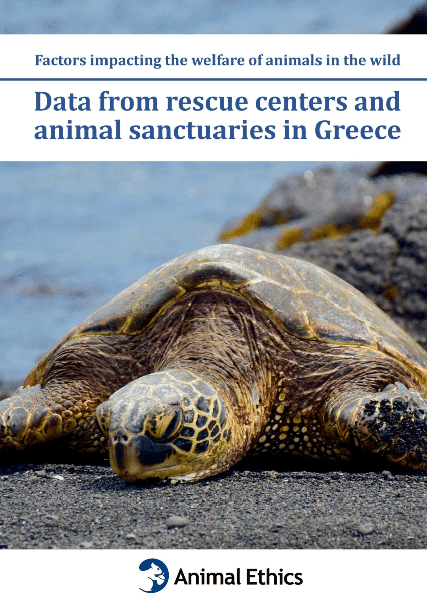 PDF) Factors impacting the welfare of animals in the wild: Data from rescue  centers and animal sanctuaries in Greece