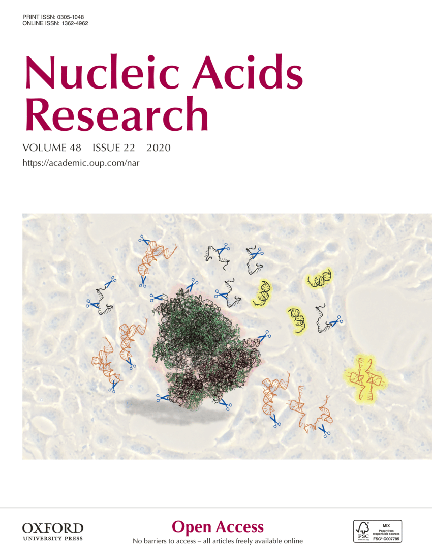 (PDF) Cover Image Nucleic Acids Research 48 (22)