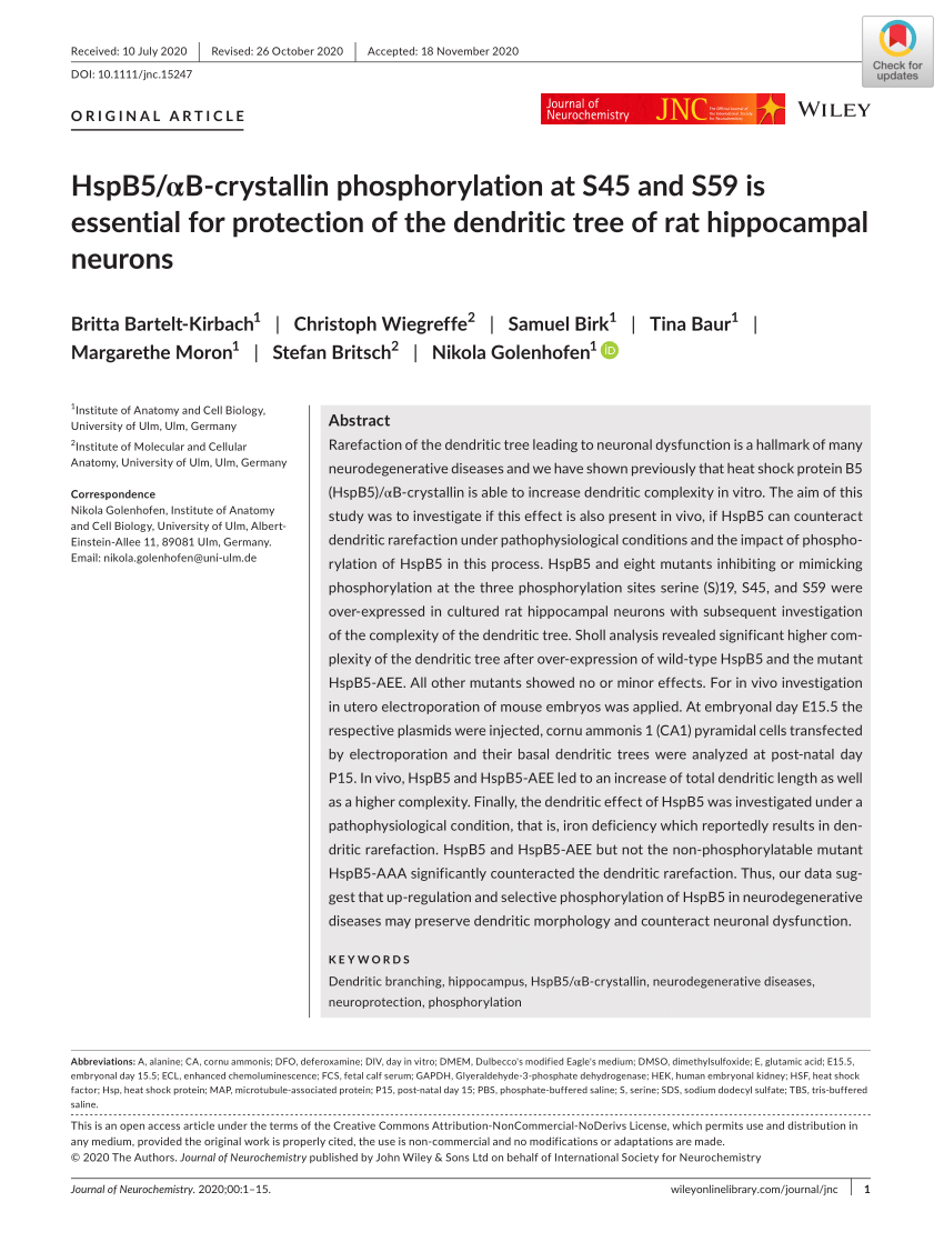 PDF) HspB5/αB‐crystallin phosphorylation at S45 and S59 is