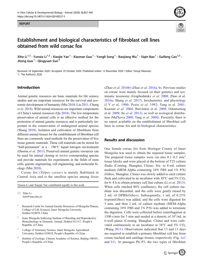 Pdf Establishment And Biological Characteristics Of Fibroblast Cell Lines Obtained From Wild Corsac Fox