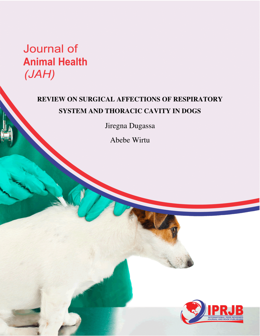 PDF) REVIEW ON SURGICAL AFFECTIONS OF RESPIRATORY SYSTEM AND THORACIC  CAVITY IN DOGS