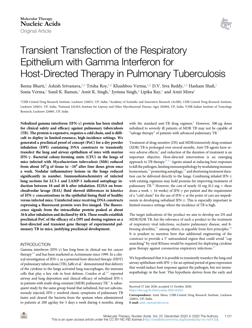 Pdf Transient Transfection Of The Respiratory Epithelium With Gamma Interferon For Host Directed Therapy In Pulmonary Tuberculosis