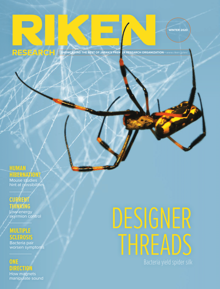 PDF) RIKEN Research Magazine Winter Edition 2020