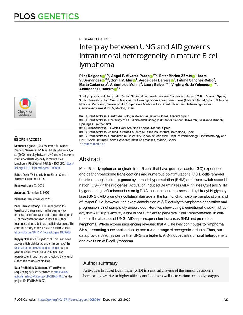 Pdf Interplay Between Ung And Aid Governs Intratumoral Heterogeneity In Mature B Cell Lymphoma