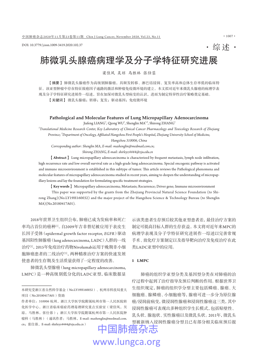 (PDF) Pathological and Molecular Features of Lung Micropapillary ...