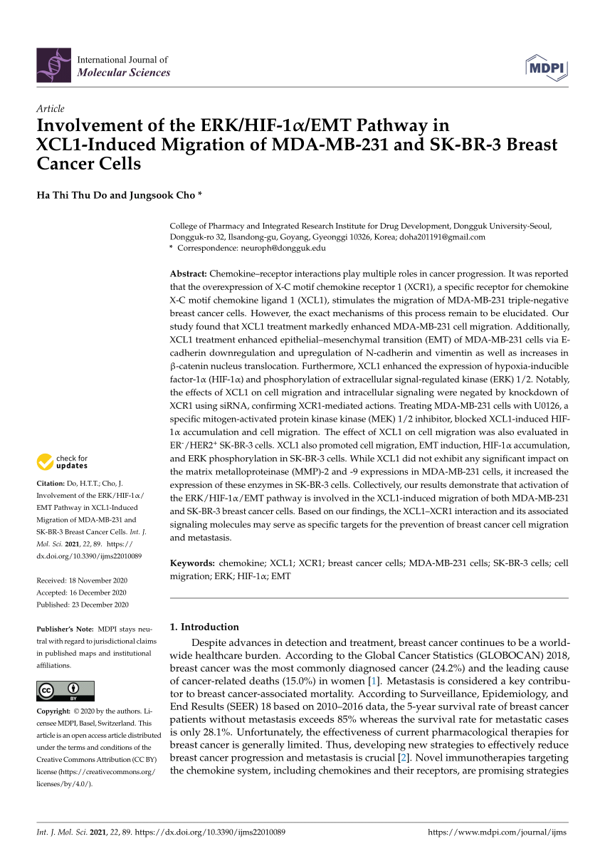 Pdf Involvement Of The Erk Hif 1a Emt Pathway In Xcl1 Induced Migration Of Mda Mb 231 And Sk Br 3 Breast Cancer Cells