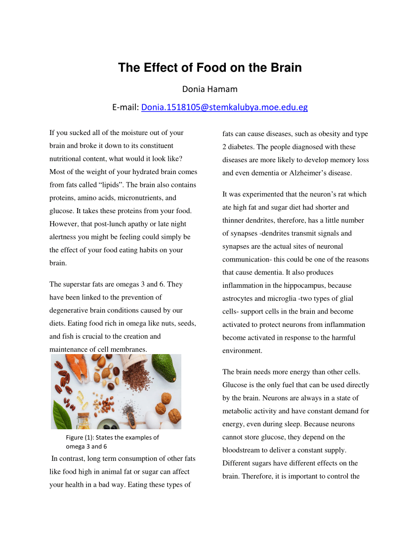 essay on brain food