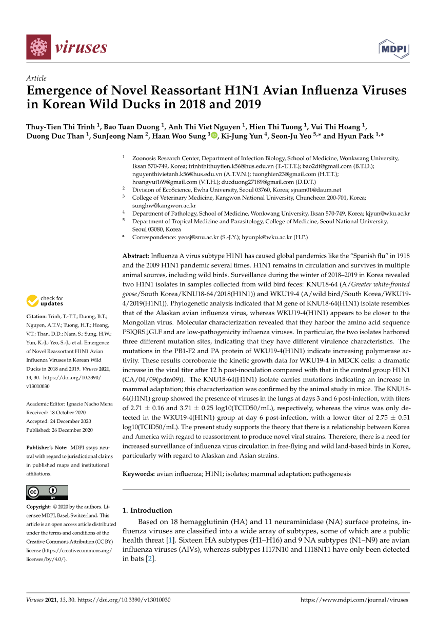 Pdf Emergence Of Novel Reassortant H1n1 Avian Influenza Viruses In Korean Wild Ducks In 18 And 19