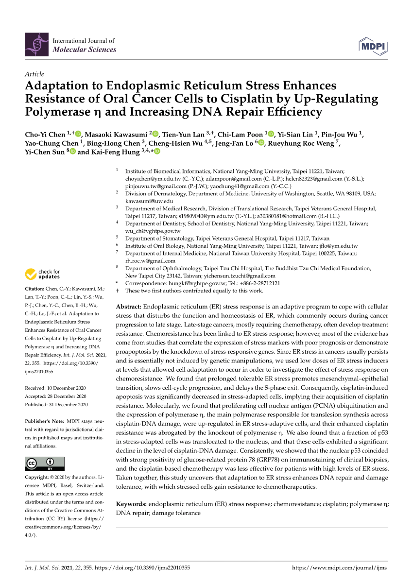 Pdf Adaptation To Endoplasmic Reticulum Stress Enhances Resistance Of Oral Cancer Cells To Cisplatin By Up Regulating Polymerase H And Increasing Dna Repair Efficiency