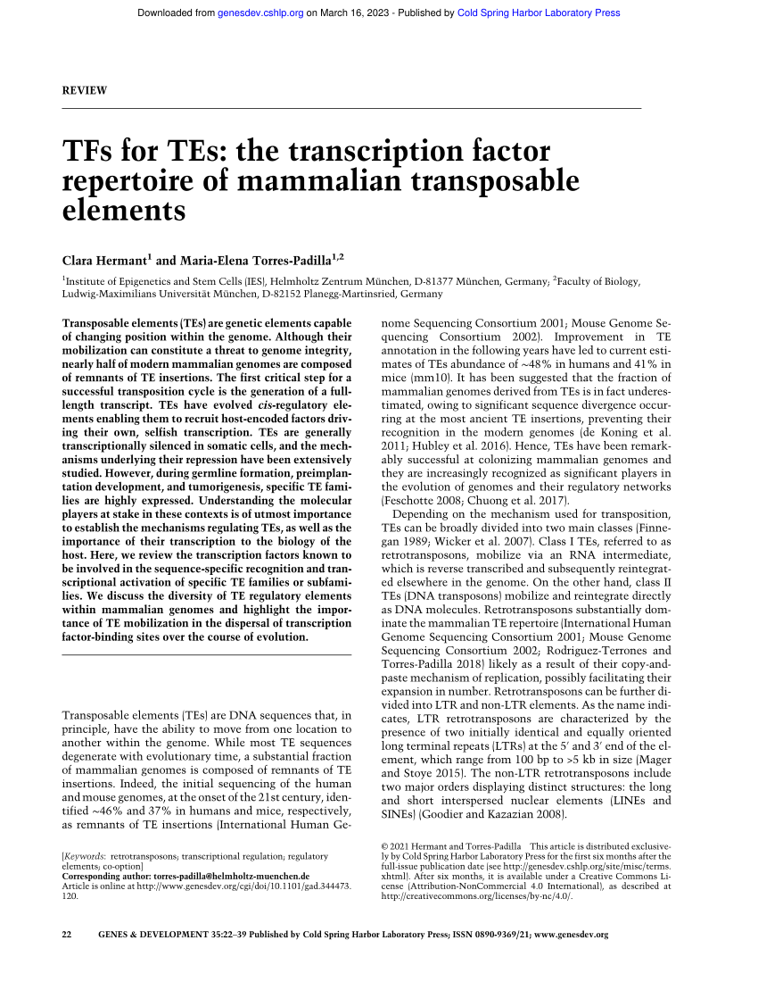 PDF) TFs for TEs: The transcription factor repertoire of mammalian  transposable elements